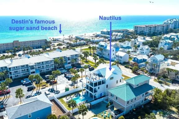Nautilus - Image 2